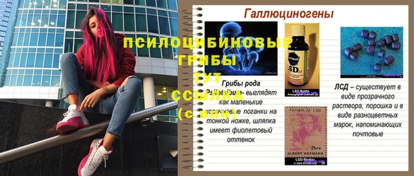 стафф Балахна